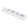 Korg Nanokey 2 White MIDI Controller