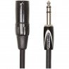 Roland RCC-10-TRXM Stereo Jack - Male XLR, 3 meters