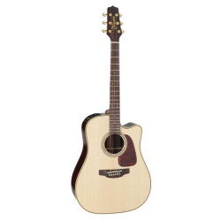 TAKAMINE P5DC Pro Series 5