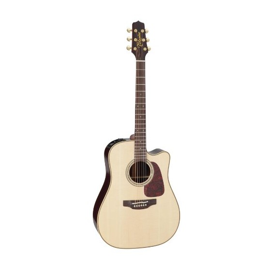 TAKAMINE P5DC Pro Series 5