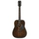 IBANEZ AVD6-DTS Limited Edition Dreadnought