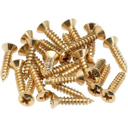 Fender Tornillos de Golpeador Dorado 24
