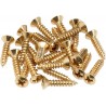 Fender Pickguard Screws Gold 24