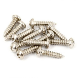 FENDER Pure Vintage Tuning Machine Mounting Screws (12)