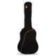 Ashton ARM300G Funda Electrica