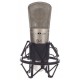 b-1_microfono_de_estudio-9573.jpg