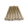 Fender Tremolo Mounting Screws Nickel 12