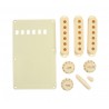 Fender Kit Stratocaster Vintage White