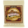 Ernie Ball EB2003 Earthwood 12-54