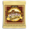 Ernie Ball EB2002 Earthwood 13-56 