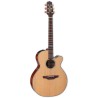 Takamine TSF40C Santa Fe