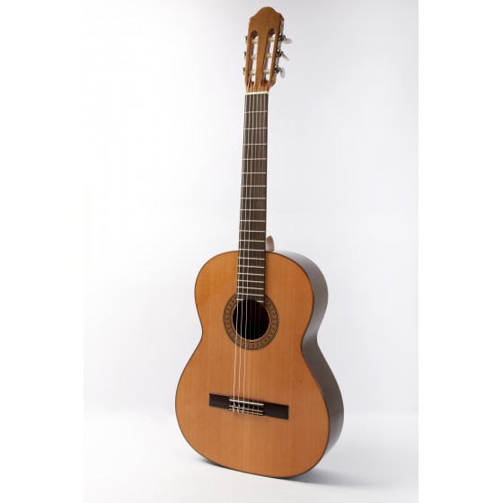 RAIMUNDO Clasica 118 Cedro