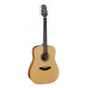 Takamine GD20NS Natural