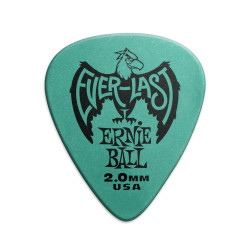 Ernie Ball Set 12 Everlast 2.00