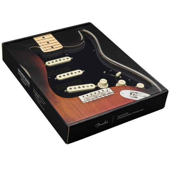 Fender Golpeador Precableado Strato SSS Custom Shop Texas Special Black 11