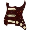 Fender Pickguard Pre-Wired Strato SSS Custom Shop Texas Special Tortoise Shell 11