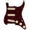 Fender Pickguard Pre-Wired Strato SSS Custom Shop 69' Tortoise Shell 11
