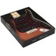 Fender Golpeador Precableado Strato HSS Tortoise Shell  11