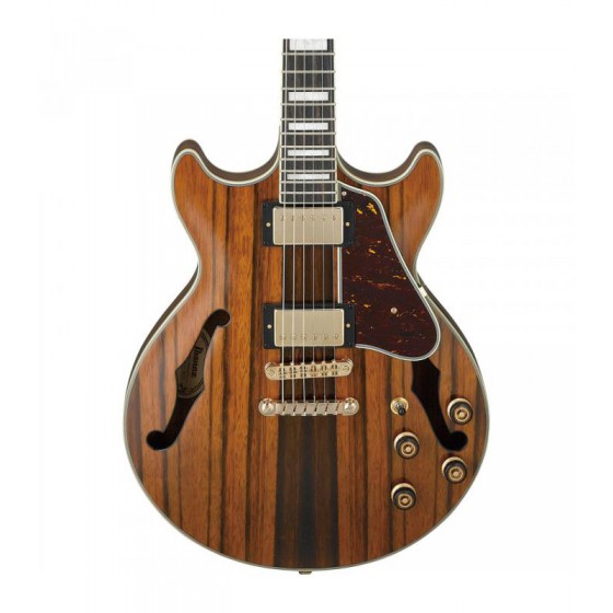 Ibanez AM93ME-NT
