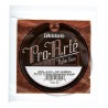 D’Addario J4505 5-String
