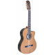 Admira Virtuoso Cutaway Fishman