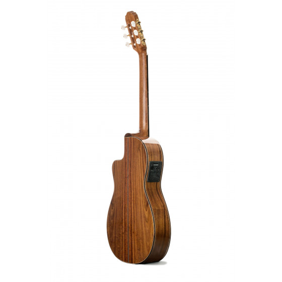 Prudencio Sáez 4-CW Clásica Cutaway