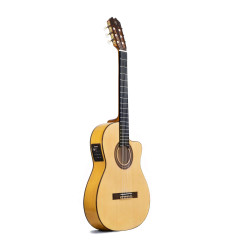 Prudencio Sáez 5-CW Clásica Cutaway