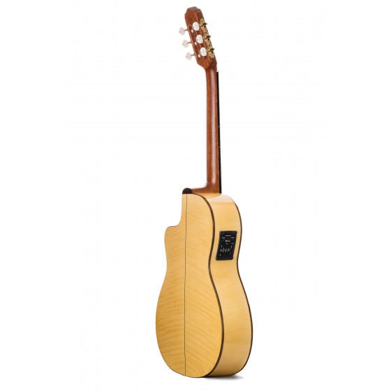Prudencio Sáez 6-CW Clásica Cutaway
