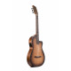 Prudencio Sáez Shadow Clásica Cutaway