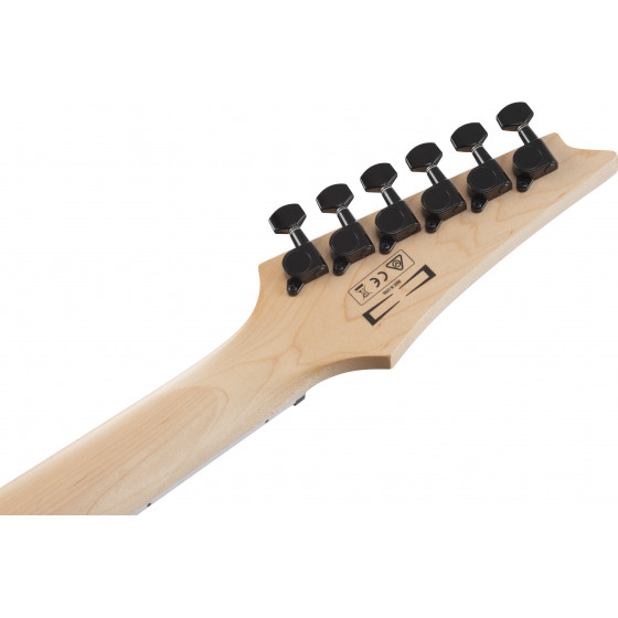 Ibanez GRGR221PA Aqua Burst