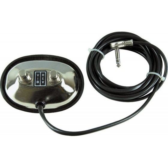 6166-foot_switch_para_65_twin_reverb.jpg
