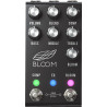 Jackson Audio Bloom Midi Black