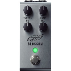 Jackson Audio Blossom