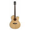 Larry Carlton A3-G Natural