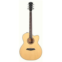 Larry Carlton A4-G Natural