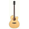 Larry Carlton A4-G Natural