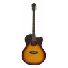 Larry Carlton A3-G Vintage Sunburst