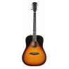Larry Carlton A4-D Vintage Sunburst