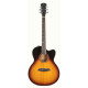 Larry Carlton A4-G Vintage Sunburst