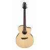 Ibanez PA300E Natural Satin