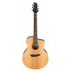 Ibanez PA230E Natural Satin