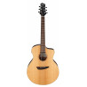 Ibanez PA230E Natural Satin
