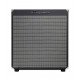 Ampeg RB210