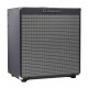 Ampeg RB210