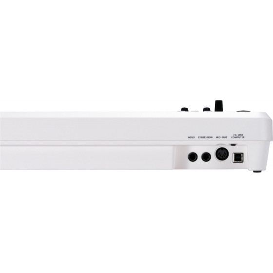 Roland A-49 Teclado Controlador White