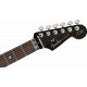 Fender Tom Morello Soul Power Stratocaster