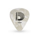 Planet Waves White Pearl Celluloid Light