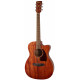 IBANEZ PC12MHCE-OPN