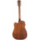Ibanez AW54CE Open Pore Natural