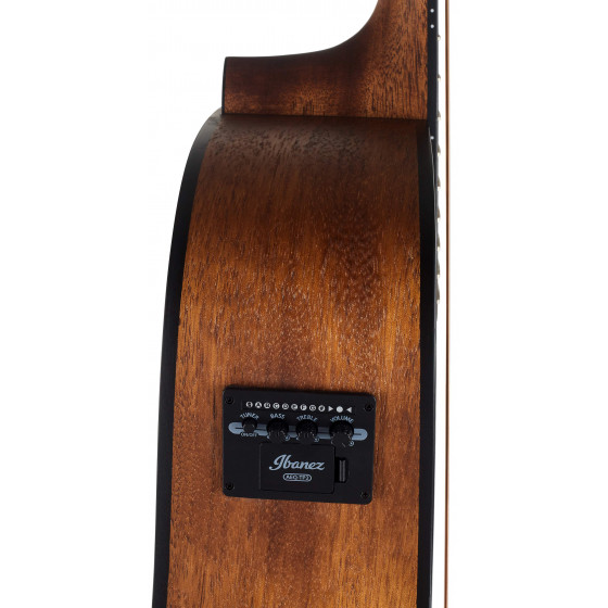 Ibanez AW54CE Open Pore Natural